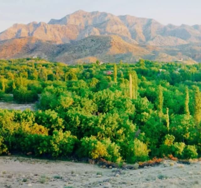 مجموعه جهانگردی افشار