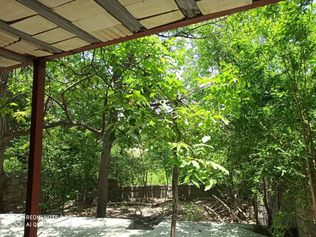  باغ جهانگردی افشار