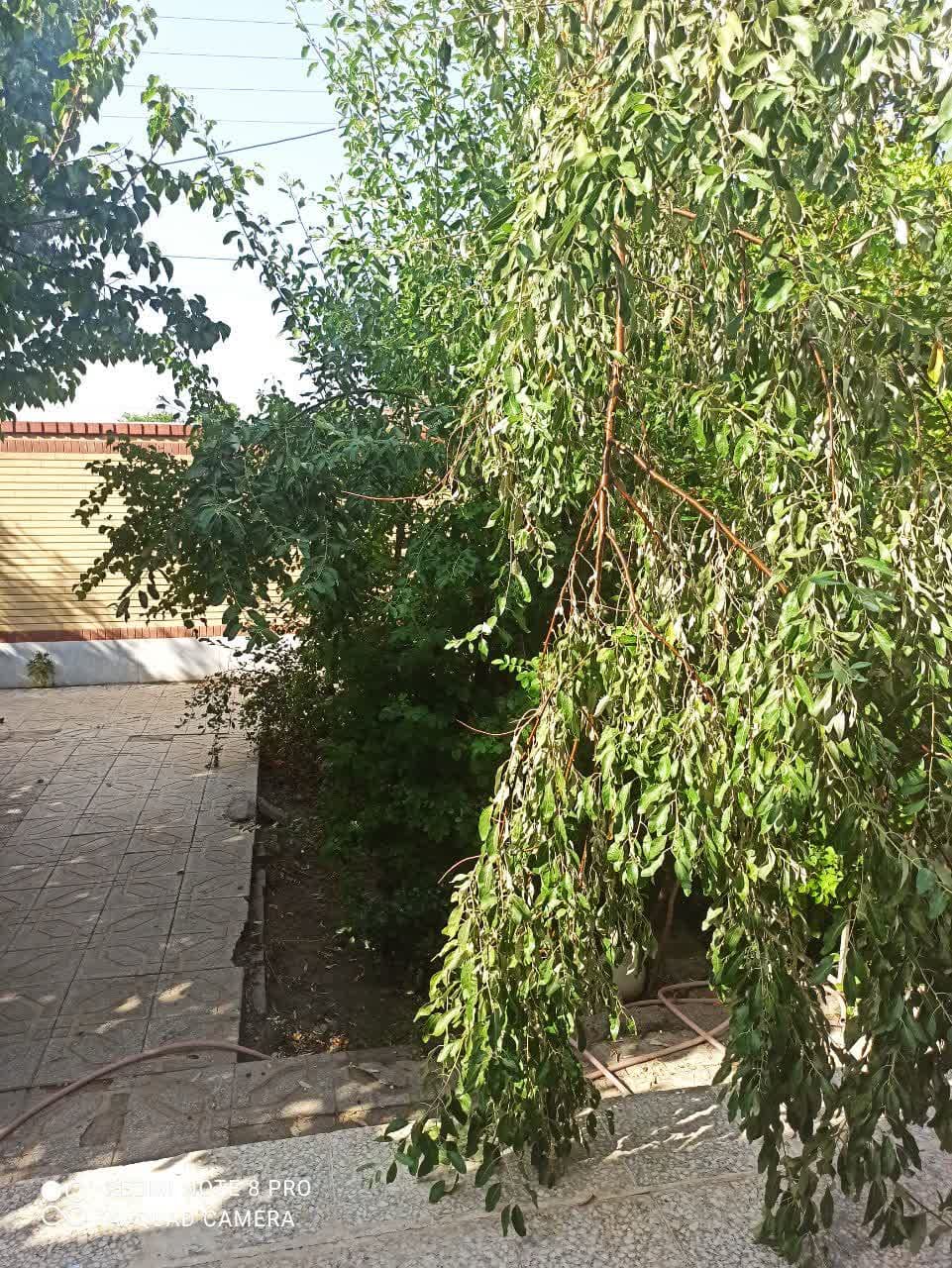 مجموعه جهانگردی افشار